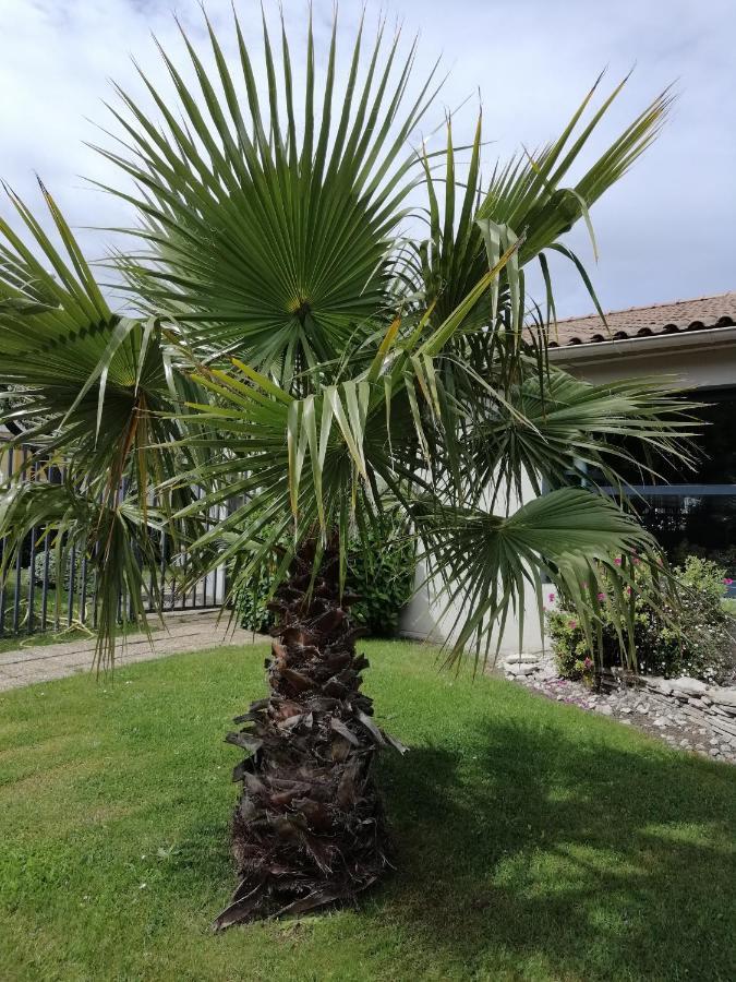 Hotel Kyriad Cap Sud Avignon Exterior photo